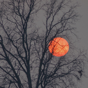 久99视频精品免费观看福利
