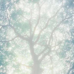 久99视频精品免费观看福利
